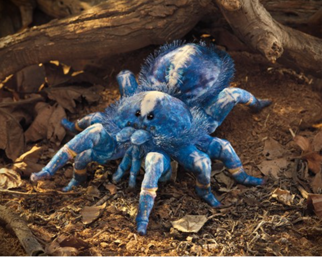 Blue Tarantula Spider Puppet in indigo plush with hairy pine needle fringe, realistic and playful spider glove puppet.