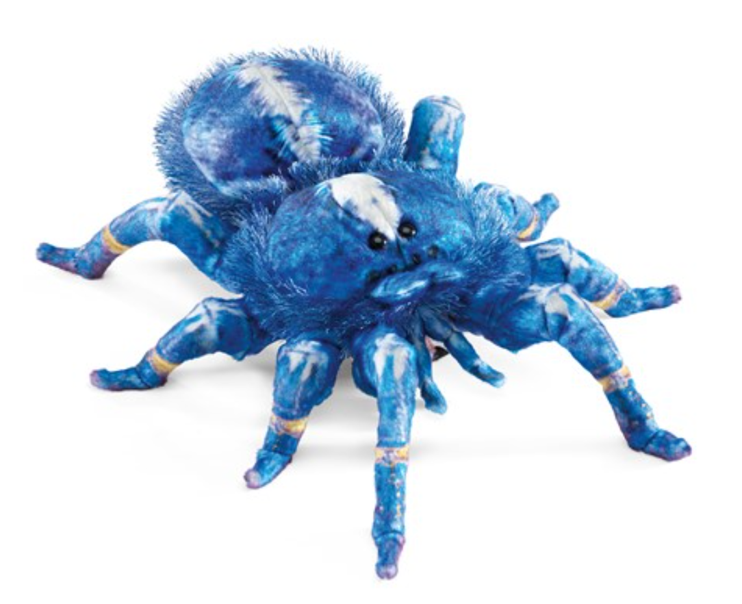 Blue Tarantula Spider Puppet with indigo plush and hairy pine needle fringe, friendly and realistic glove puppet.