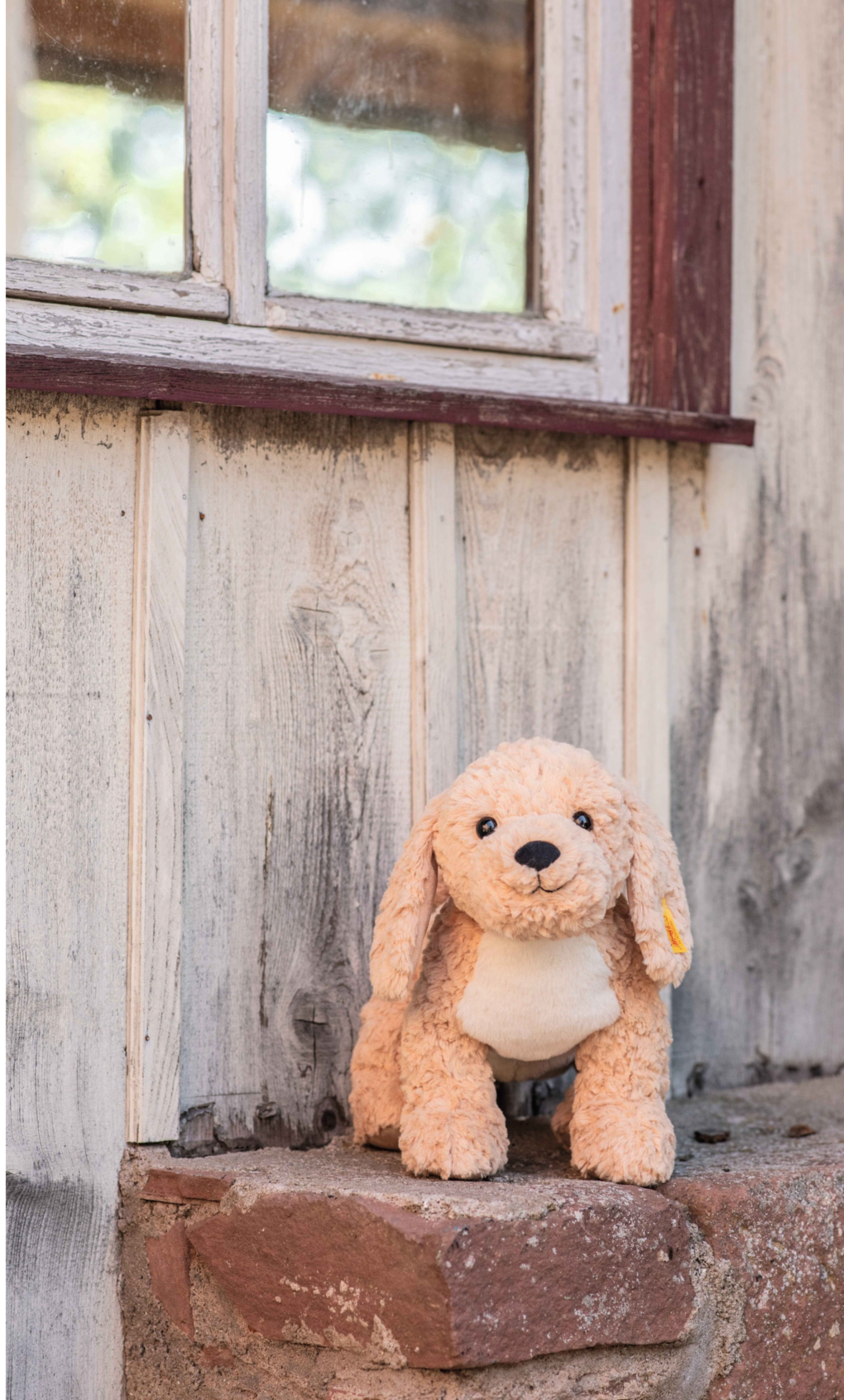 Goldendoodle Berno plush dog with soft curly coat and floppy ears sitting on a stone ledge by a wooden wall.