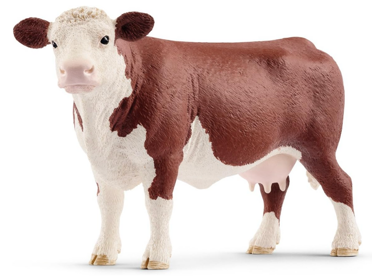 Cow Hereford toy figurine showing detailed brown and white Hereford cow with realistic features for educational play.