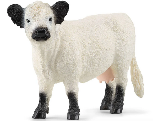 Galloway Cattle toy figure with thick textured coat, black ears and legs, perfect for farm play and kids age 3+.