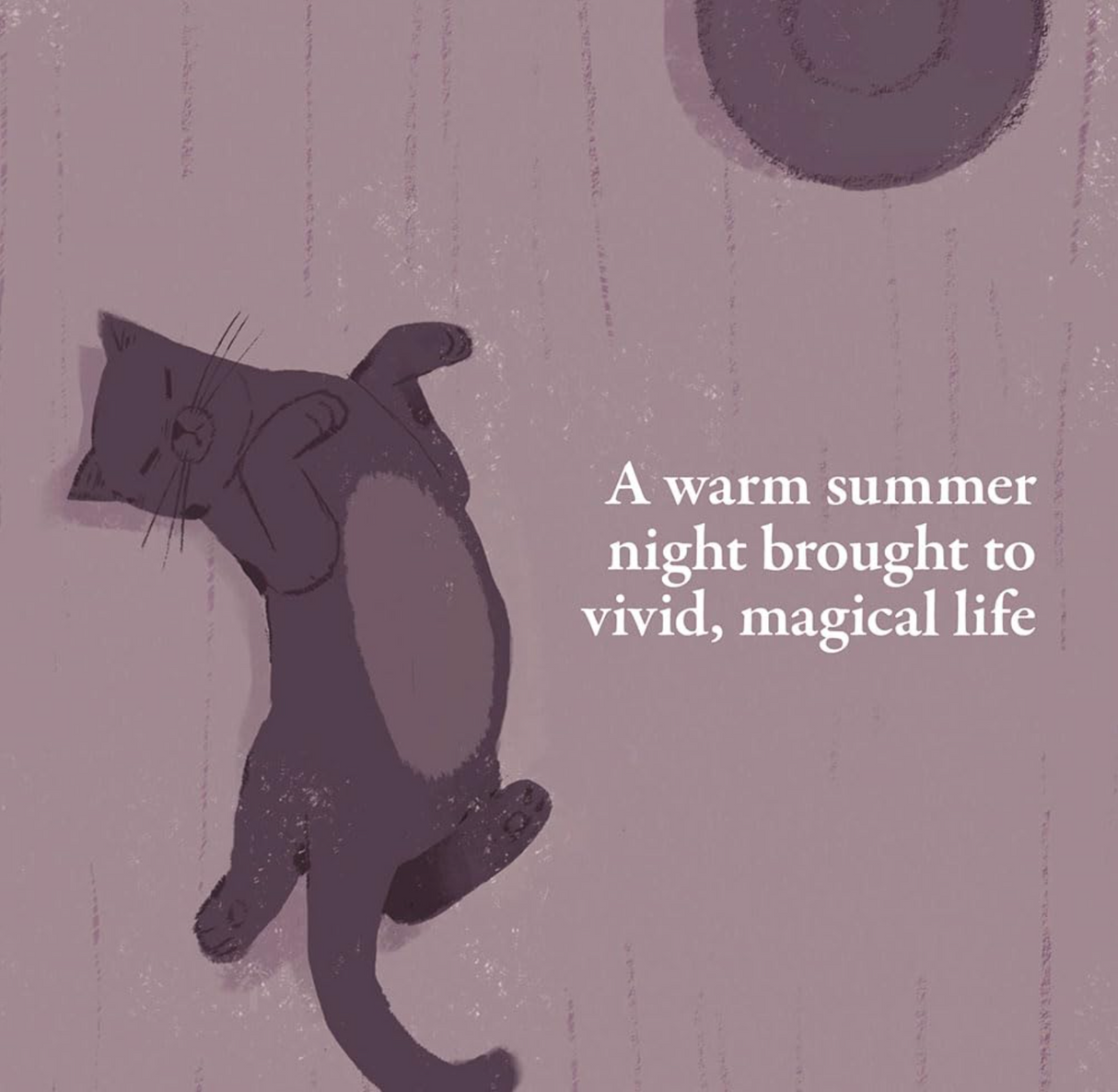 On a Summer Night shows a peaceful cat resting on a wooden floor, capturing a warm magical night.