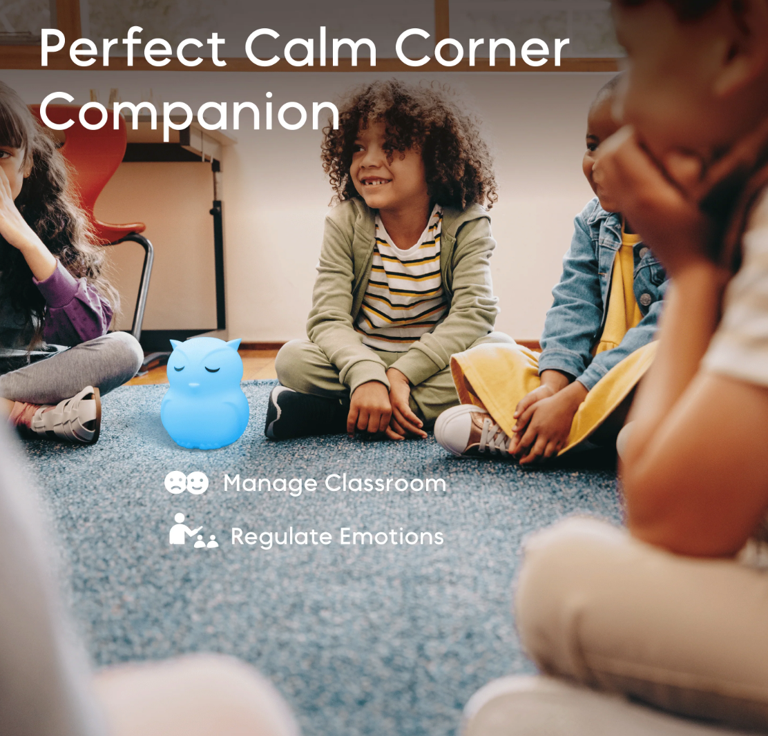 Breathing Pal | Ollie the Owl helping children manage emotions and focus during a calm classroom moment.