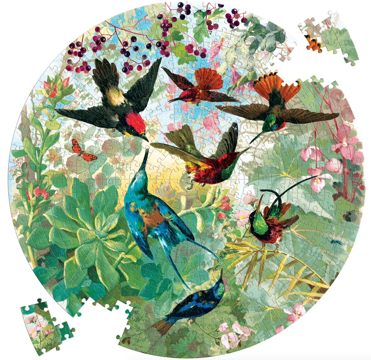 500pc Hummingbirds Round Puzzle featuring colorful vintage hummingbirds and garden plants in a circular design.