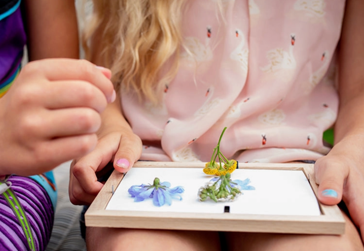Child holding wooden frame with pressed flowers to create art using Huckleberry Pressed Flower Frame kit.