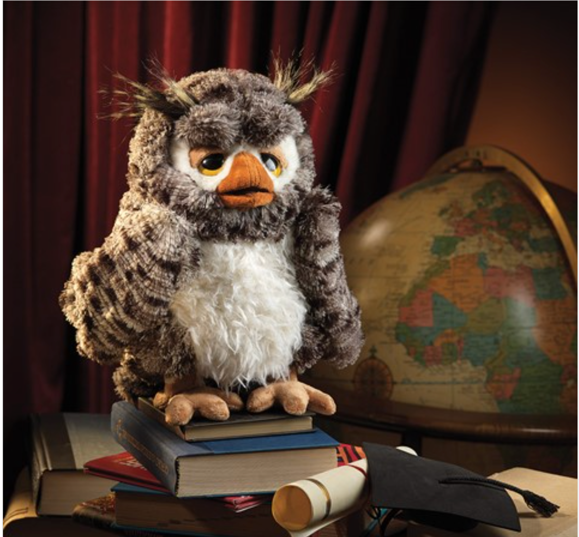 Wise Owl Puppet perched on books with globe and graduation cap, soft plush with movable beak and winking eyebrows.