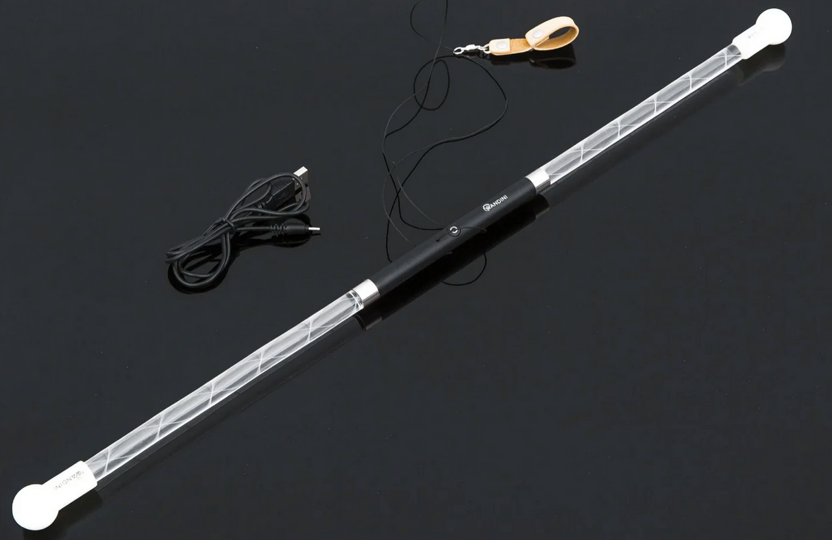 Wandini Glow Wand LED levitating wand with USB charging cable and wrist strap on black background.
