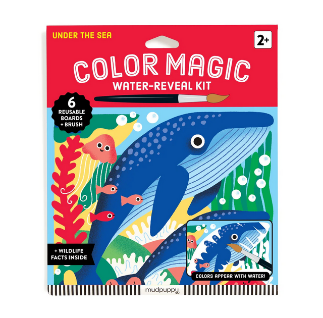 Color Magic Water Reveal | Under the Sea featuring a blue whale and ocean creatures on the reusable water-reveal boards.