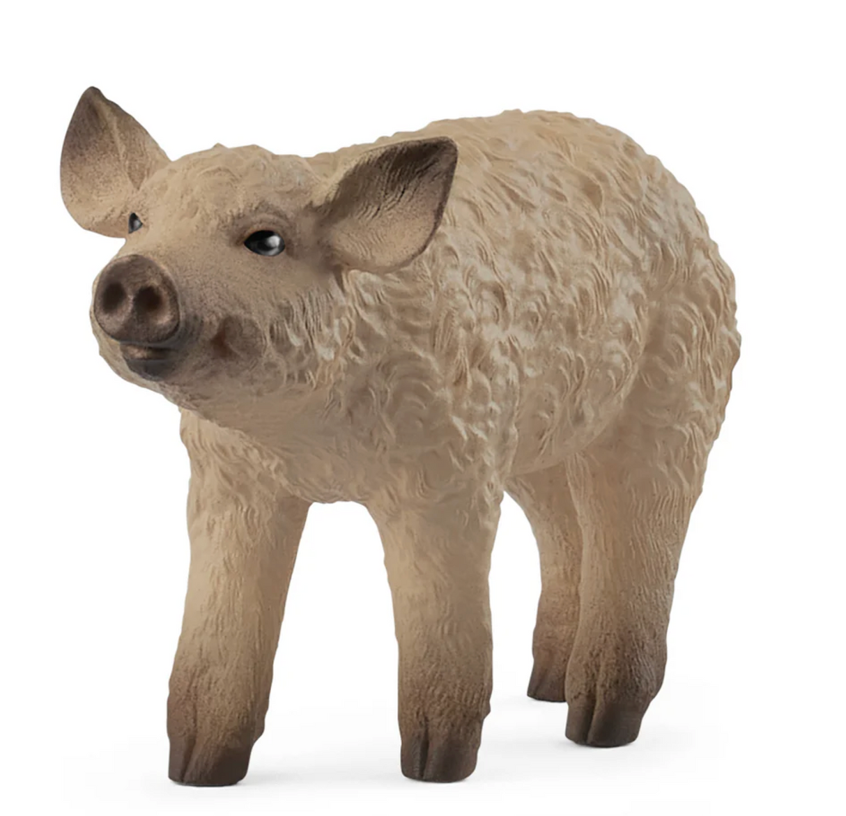 Mangalica Piglet figurine with curled coat and curious black eyes standing with short snout raised.