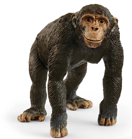Chimpanzee figurine showing detailed fur texture and facial features, perfect for ages 3 and up.