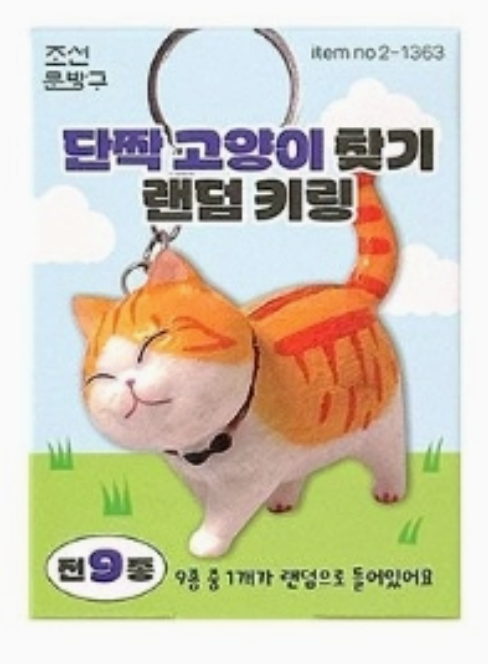 Cute orange and white cat keyring with playful expression on a grassy background in a blind box package