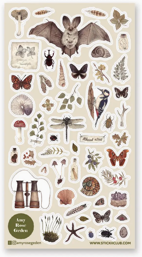 Naturalist sticker sheet featuring detailed vintage illustrations of animals, plants, insects, and nature objects