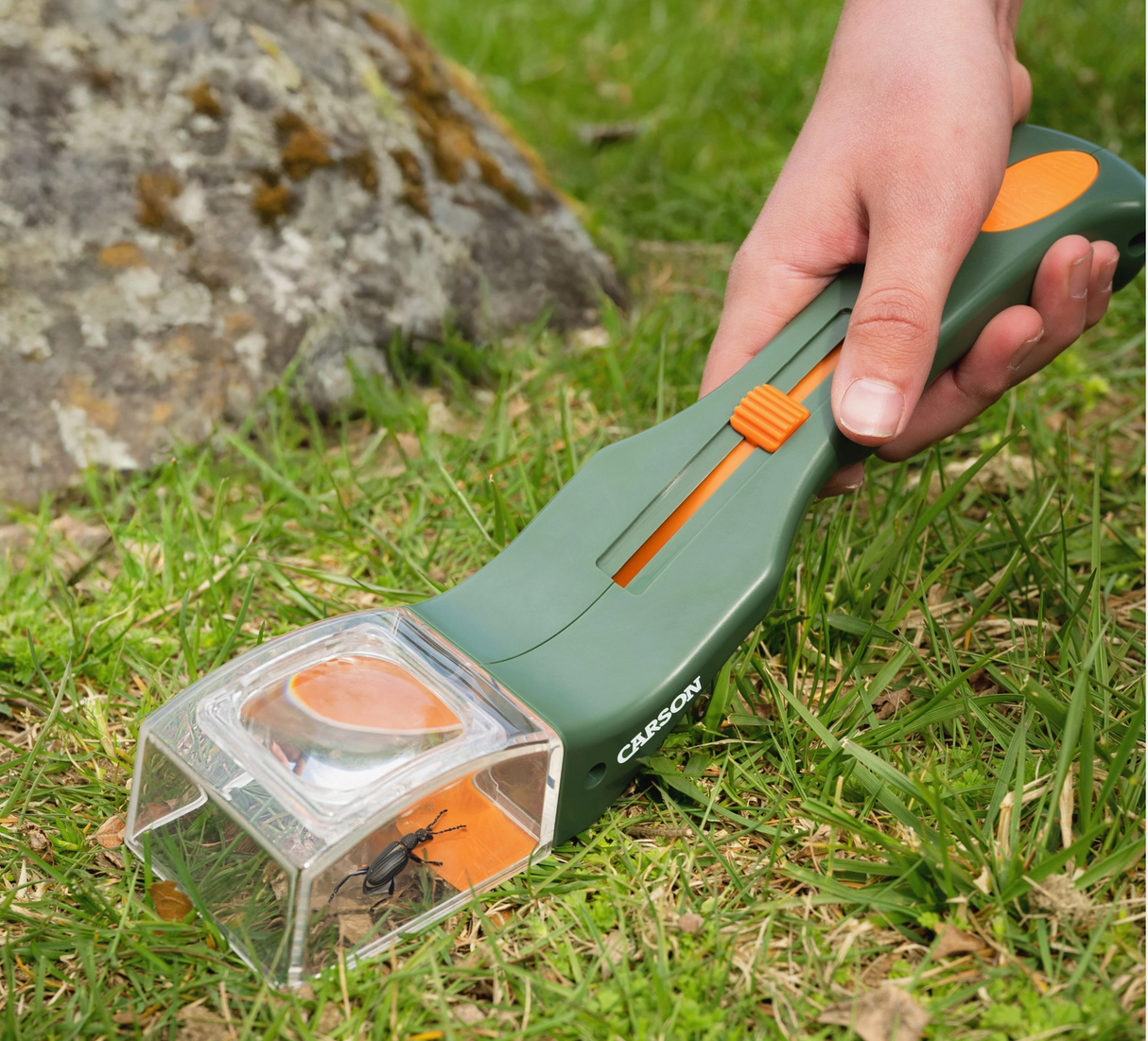 Hand holding a green and orange bug catcher with magnifier capturing a beetle on grass near a rock outdoors