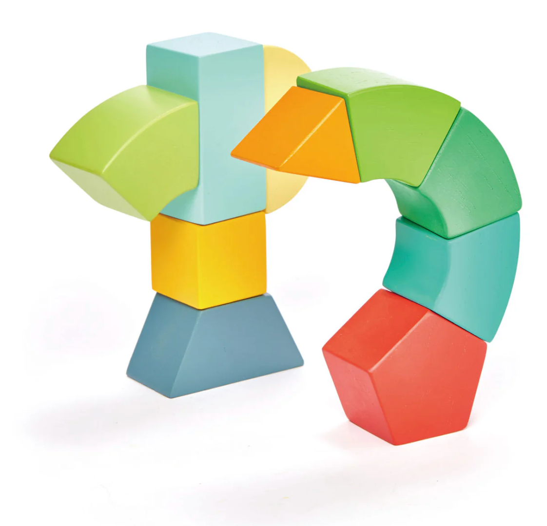 Colorful wooden magnetic blocks shaped into playful bird-like figures on a white background