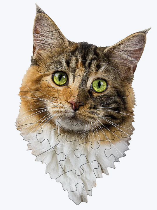 Close-up of a 24-piece cat head-shaped jigsaw puzzle with detailed fur and green eyes on white background