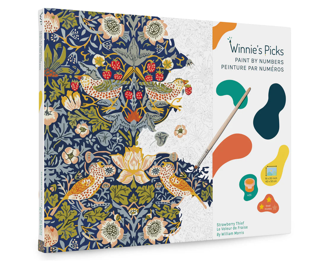 Paint by Number Strawberry Thief kit featuring intricate birds and strawberries in vintage Morris pattern on canvas.