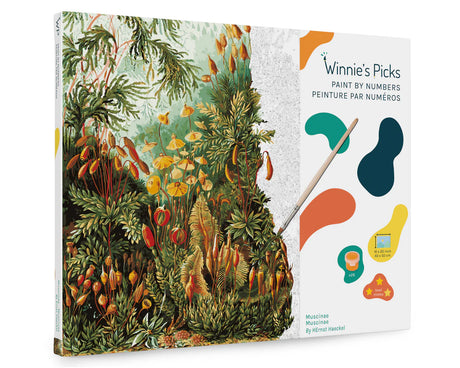Paint by Number Muscinae kit featuring detailed moss illustrations on a 16x20 canvas with acrylic paints and brushes.
