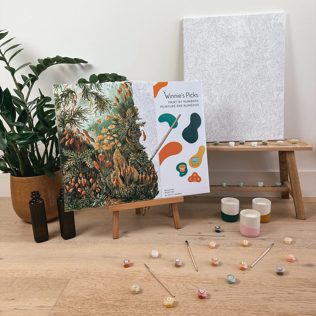 Paint by Number Muscinae kit with detailed moss design, canvas, paints, brushes, and reference sheet on wooden tabletop.