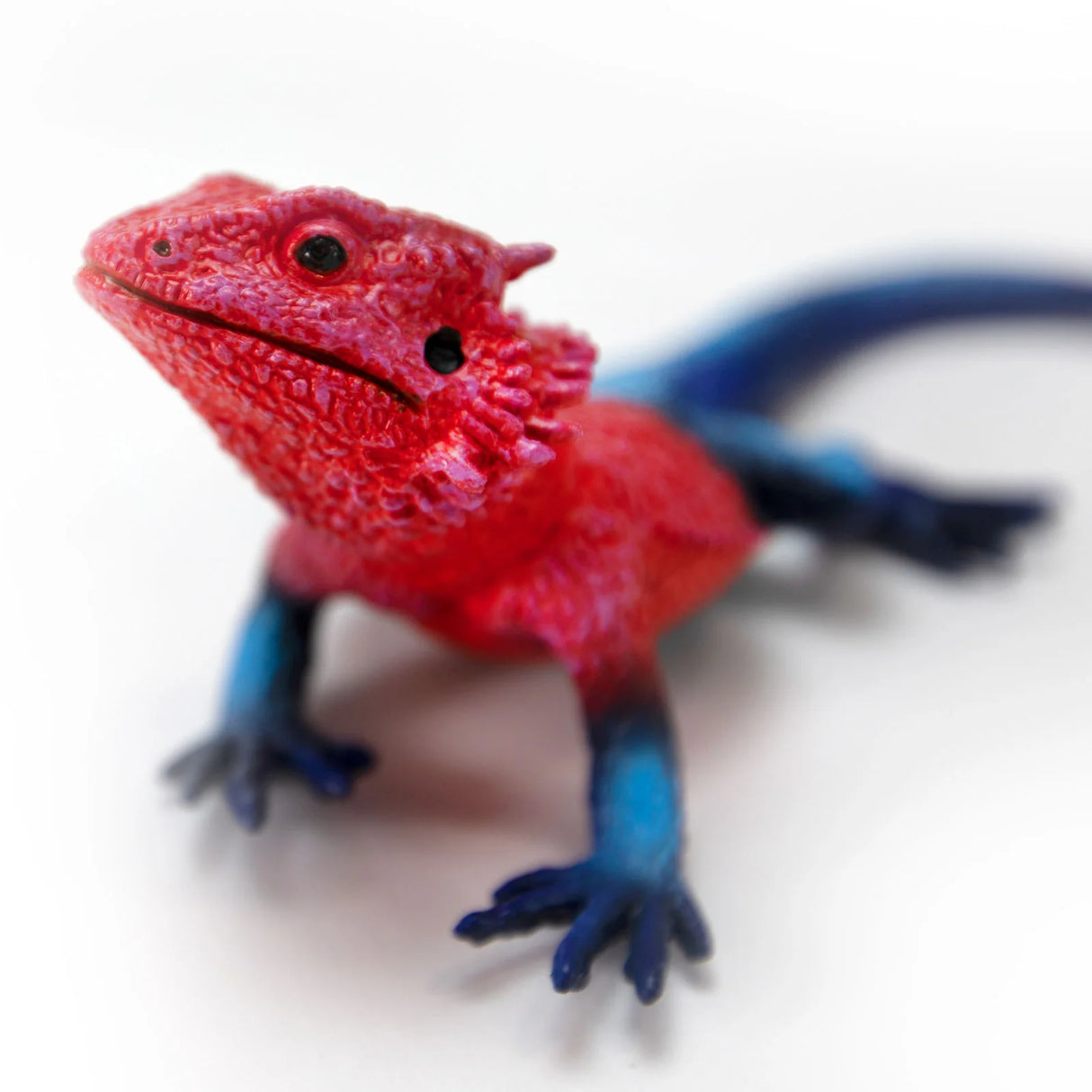Close-up of the Mwanza Flat-Headed Rock Agama toy showing its red head and blue body details on a white background.