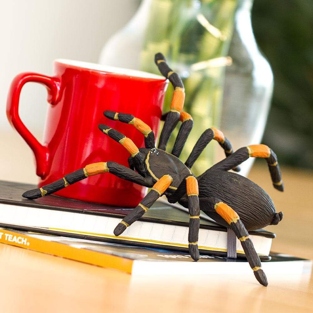 Orange-Kneed Tarantula model with black body and orange leg joints next to a red mug on a stack of books.