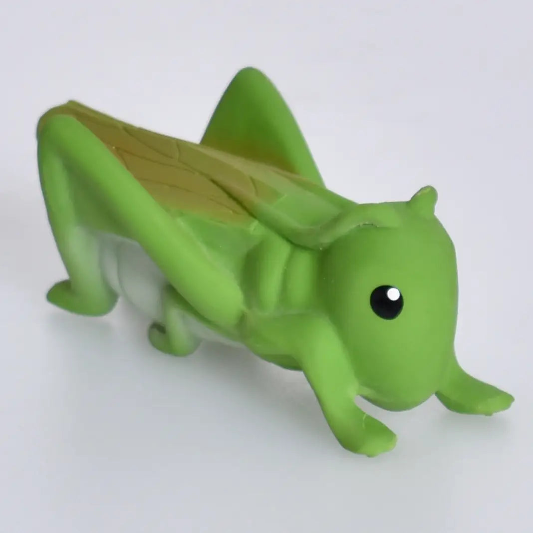 Organic Rubber Teether Rattle | Grasshopper made from natural rubber with an enclosed rattle for soothing teething babies.