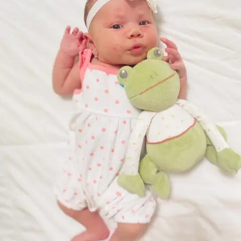 Organic Gemba the Frog plush toy made from soft organic fabric, perfect for snuggles and little hands.