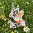 Bumblebee Raccoon Sticker featuring a raccoon dressed as a bumblebee holding a yellow flower on green foliage background.