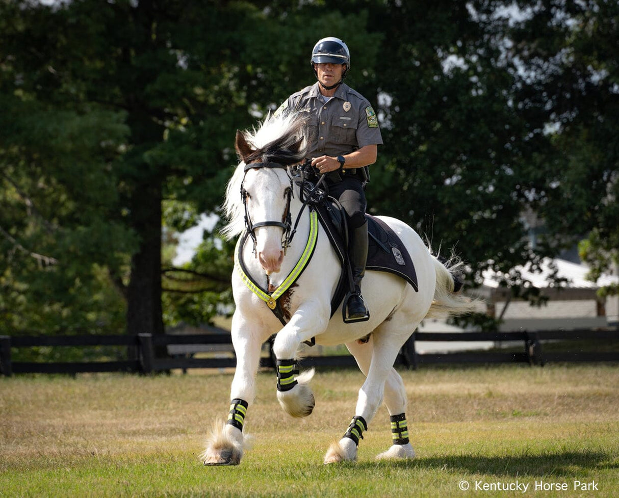 Hytyme Legend Kentucky Horse Park Police Horse with officer in uniform trotting in grassy park area under trees