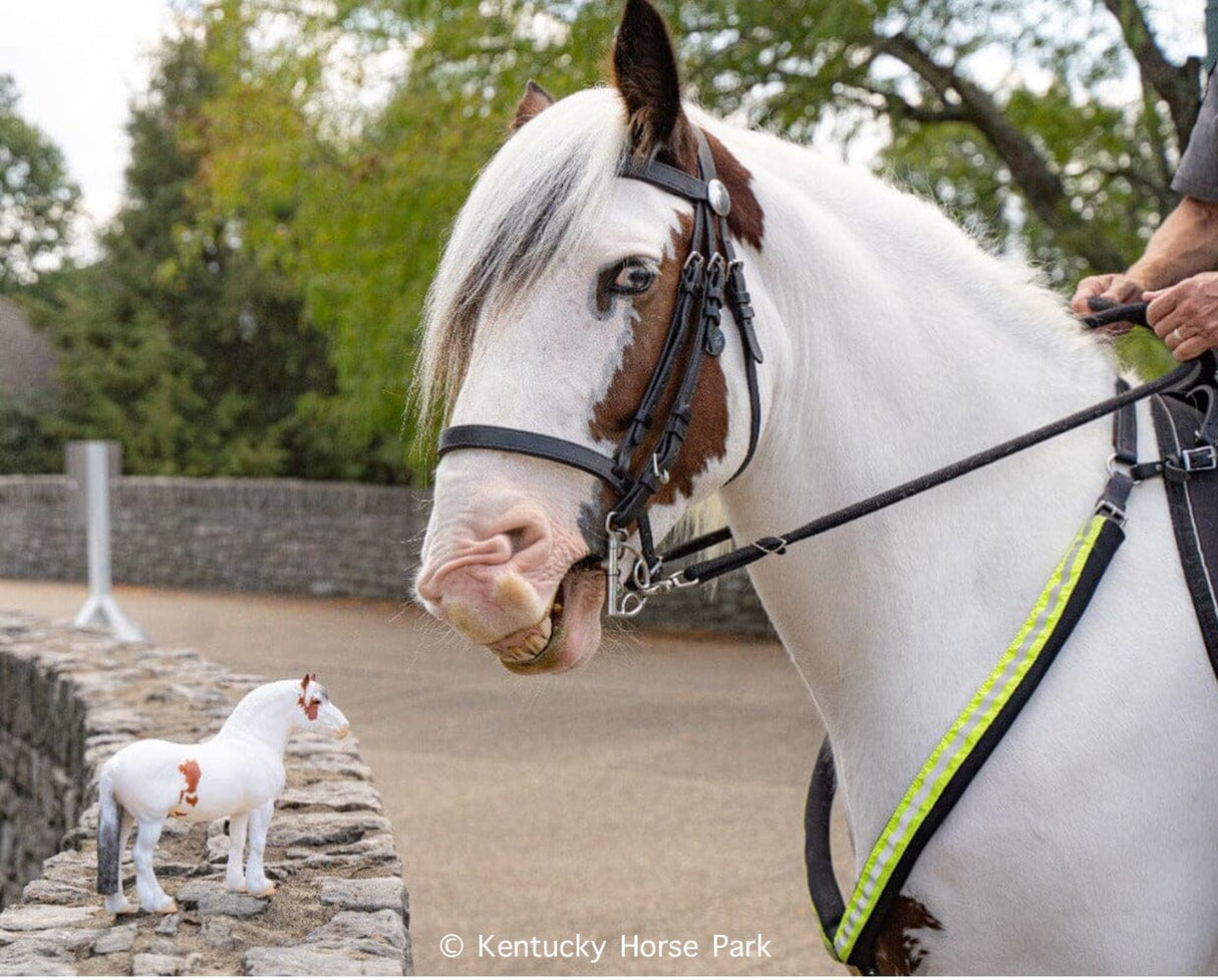 Hytyme Legend Kentucky Horse Park Police Horse close-up with rider and miniature model on stone wall outdoors