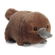 Spudster Platypus Pongo plush toy with warm brown fur, gray feet and bill, soft and cuddly, 10 inches long.