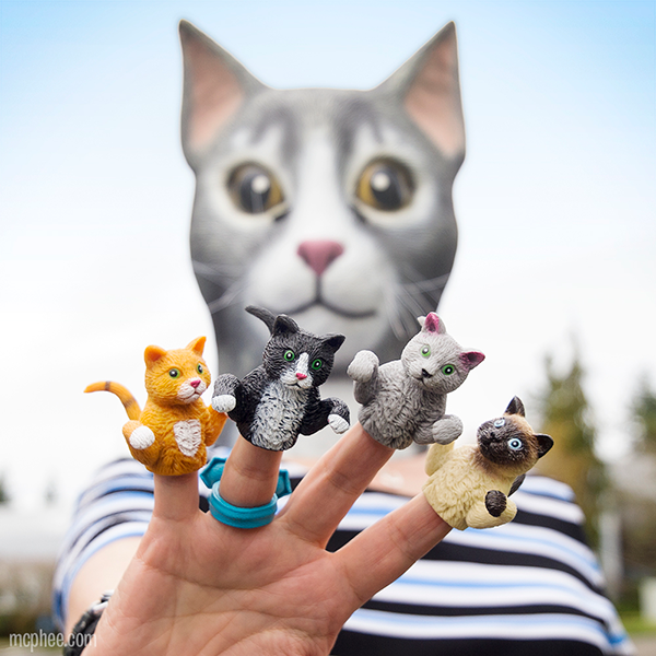 Finger Cat finger puppets featuring four different cat breeds worn on fingers against a blurred cat face background.