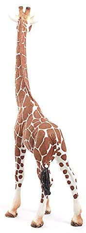 Giraffe Female figurine showing the distinct spotted coat and long neck of a young giraffe from the rear view.