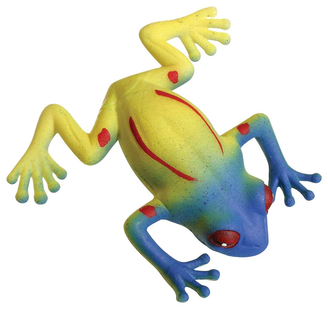 Grow Frog toy showing a multicolored frog that expands from 3 to 8 inches after soaking.