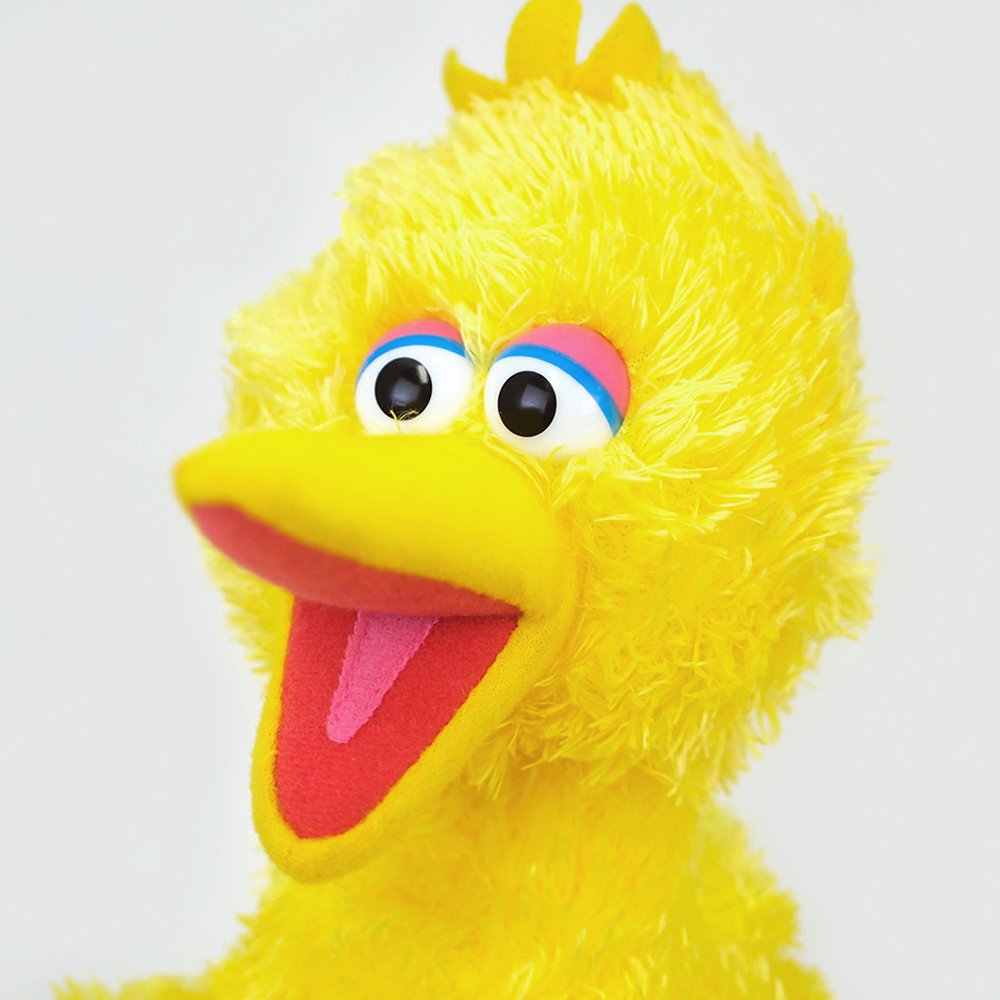 Big Bird plush featuring accurate details and soft huggable material for kids and Sesame Street fans.