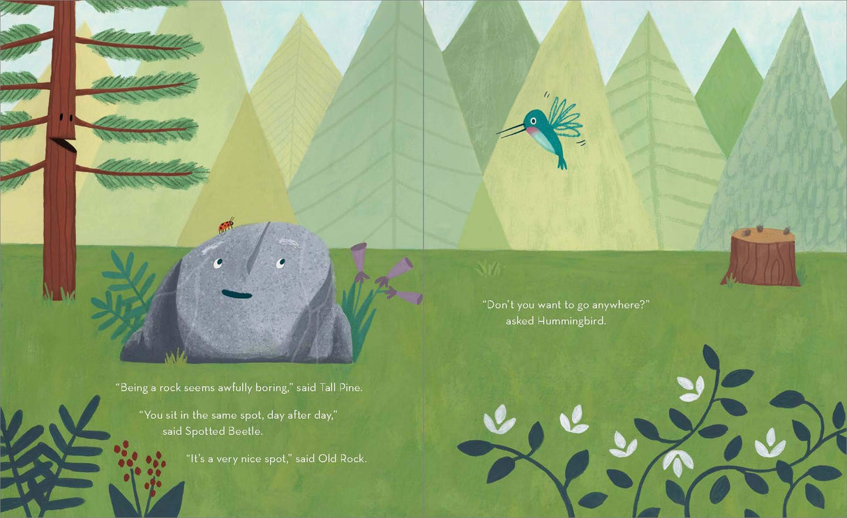 Old Rock is Not Boring book illustration showing a friendly rock, hummingbird, and pine forest setting for children ages 4-8.