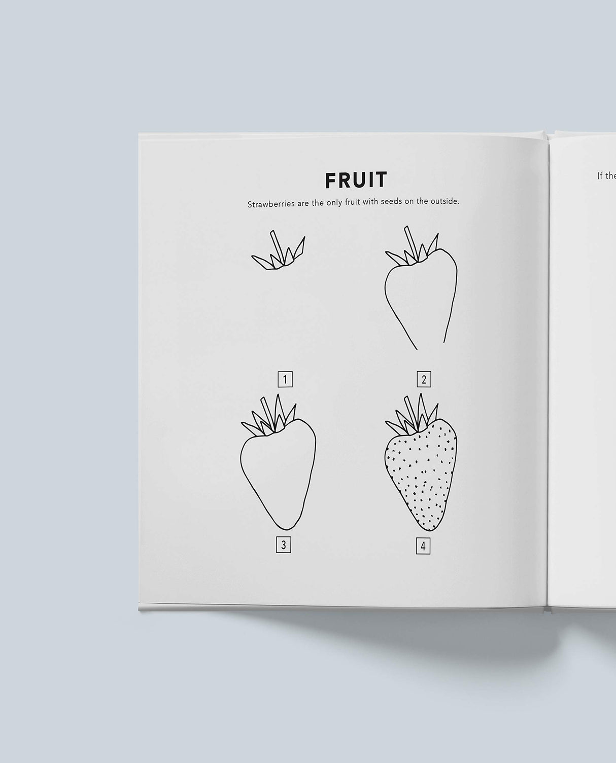 How to Draw All the Things open book showing step-by-step instructions for drawing a strawberry fruit.