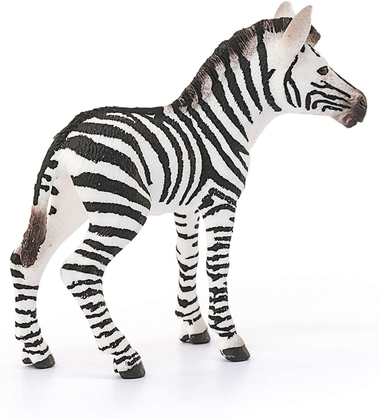Zebra Foal figurine with detailed black and white stripes and mane extending along its back, standing on white background.