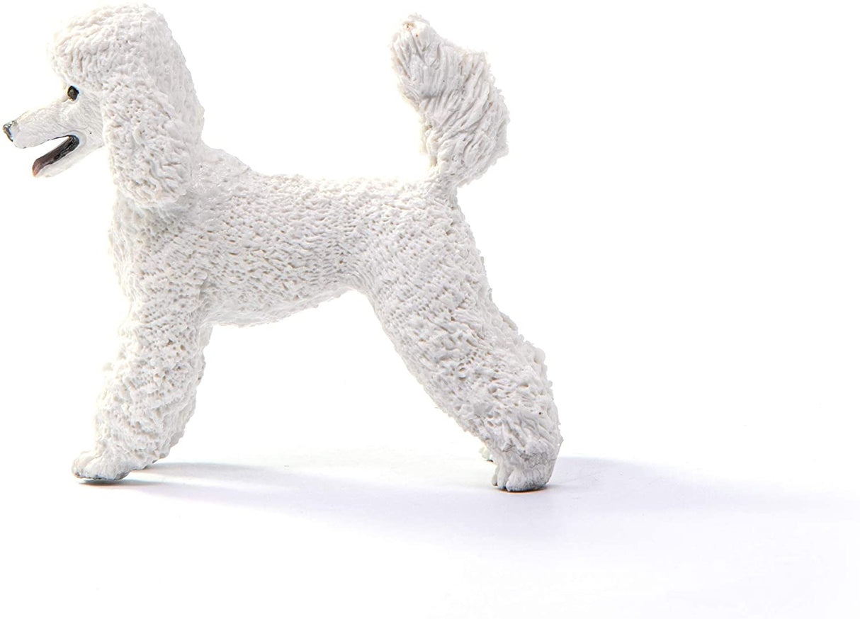 Schleich Poodle figurine with detailed curly white coat, lifelike toy for kids aged 3-8, 2.2" tall and 2.5" long.