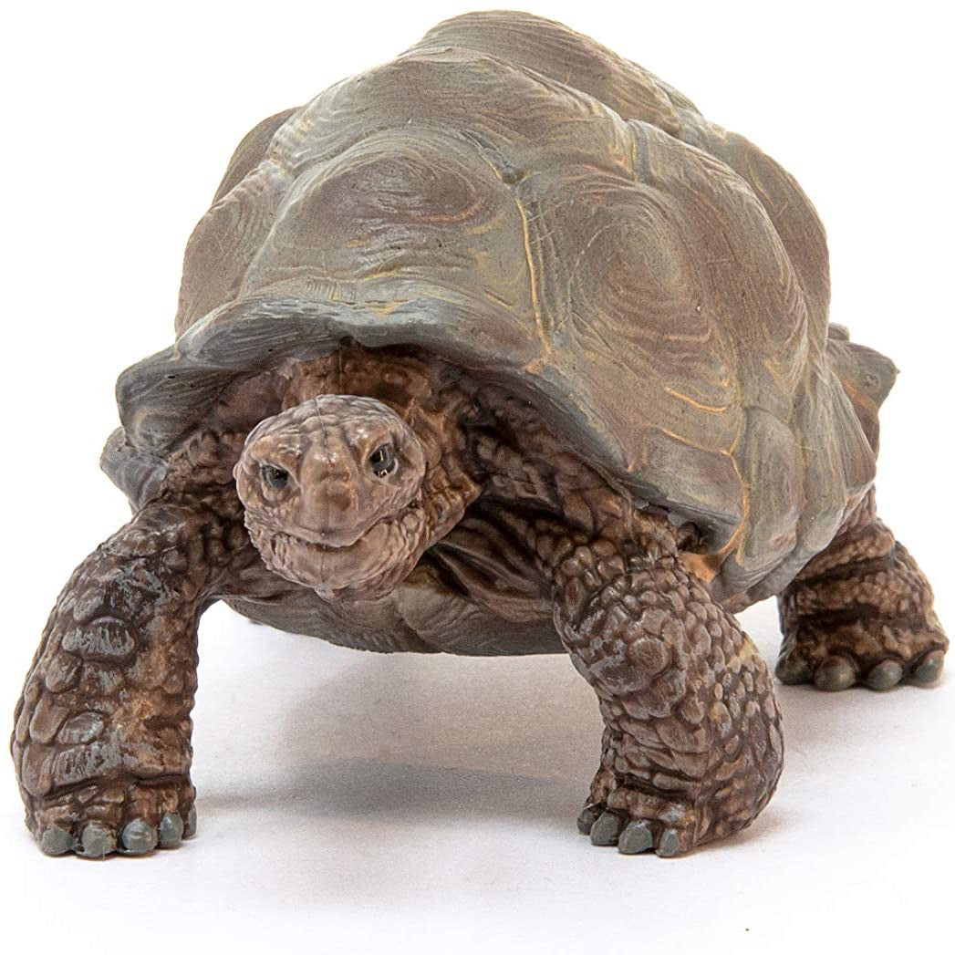 Giant Tortoise figurine with detailed shell and textured legs, perfect for children aged 3-8 years.