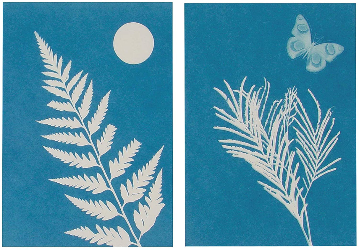 Solar Print Paper showing sun-exposed botanical prints with a butterfly and moon on blue sun-sensitive sheets.