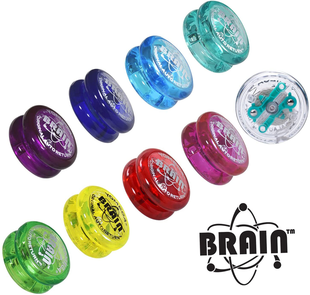 Yoyo | Brain in assorted colors showing the clear design with auto return clutch system for beginner players.