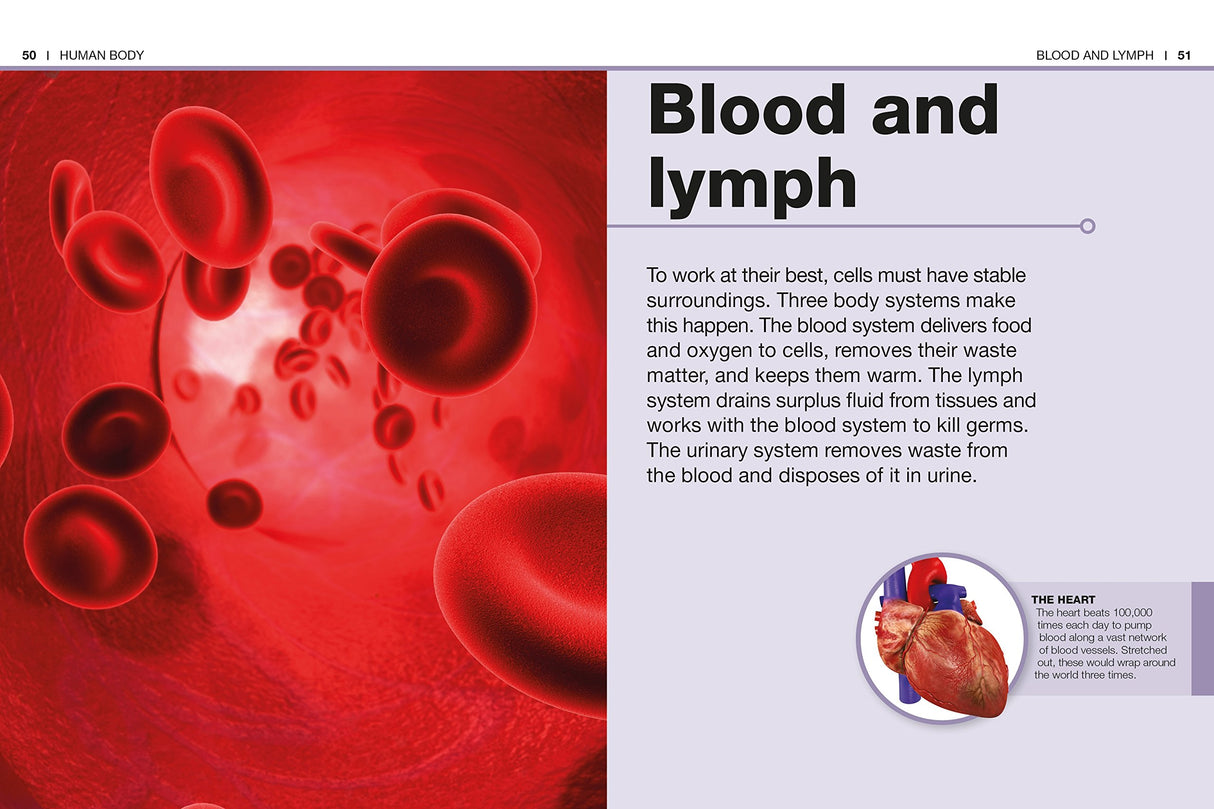 Pocket Genius Human Body showing red blood cells flowing through blood vessels with educational text on blood and lymph systems.