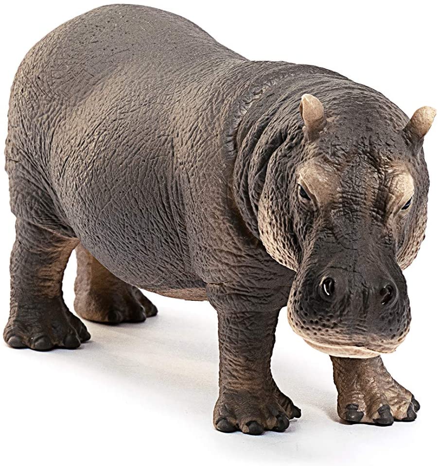 Realistic hippopotamus figurine showing textured skin and details for kids aged 3 to 8 years with product title Hippopotamus.