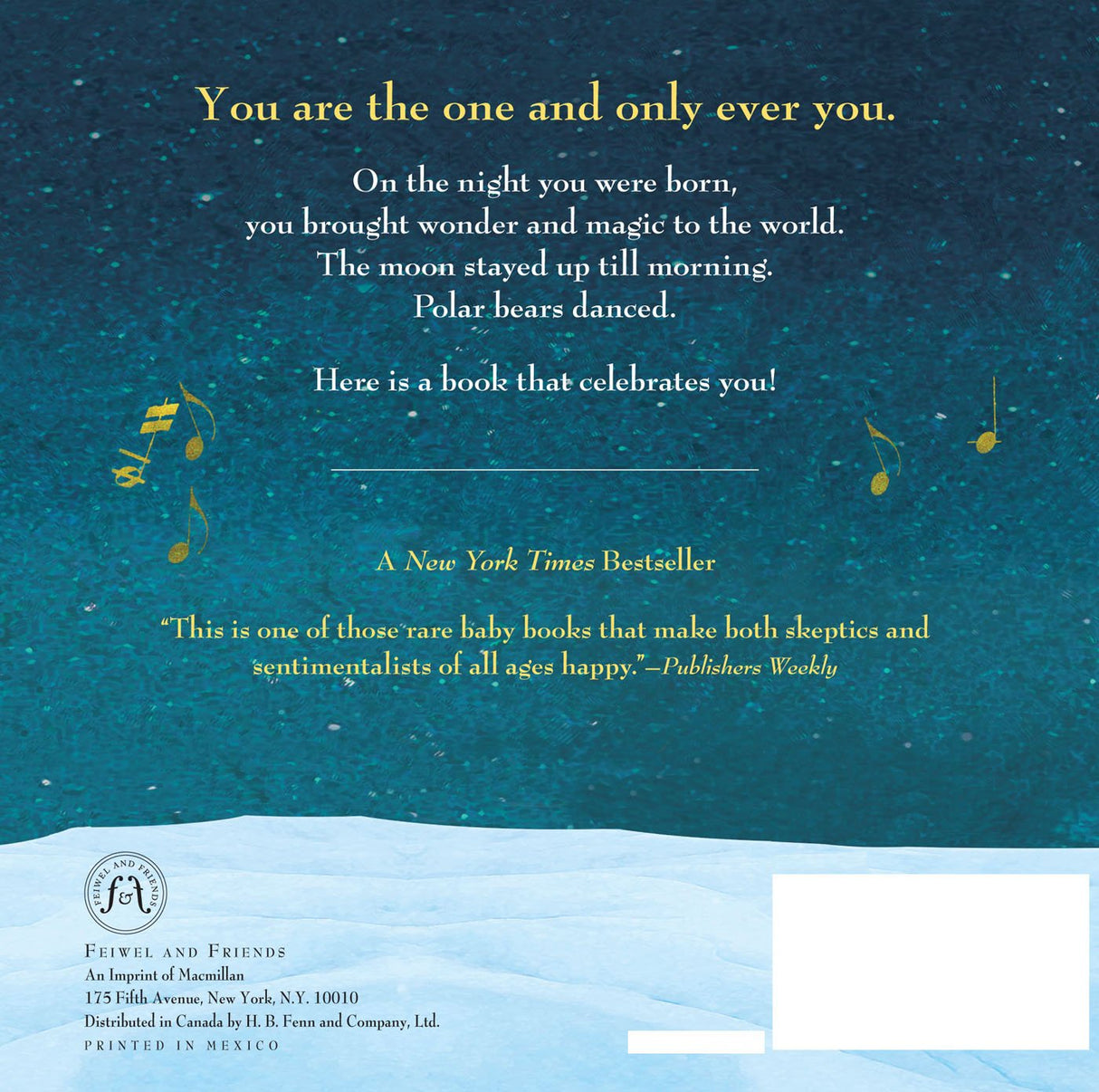 Back cover of On the Night You Were Born with an inspiring message and a snowy, starry background.