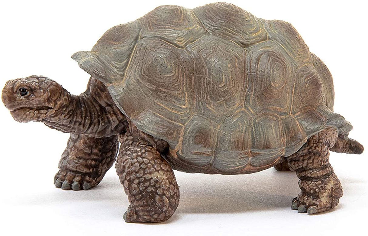 Giant Tortoise model with large dome-shaped shell and sturdy legs, designed for children ages 3-8.