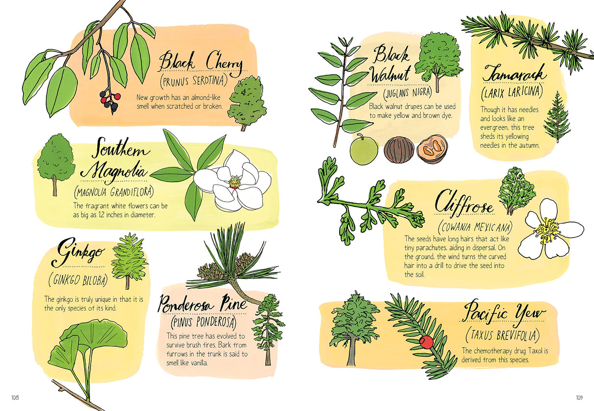 Nature Anatomy book page showing colorful illustrations and descriptions of various trees and plants.