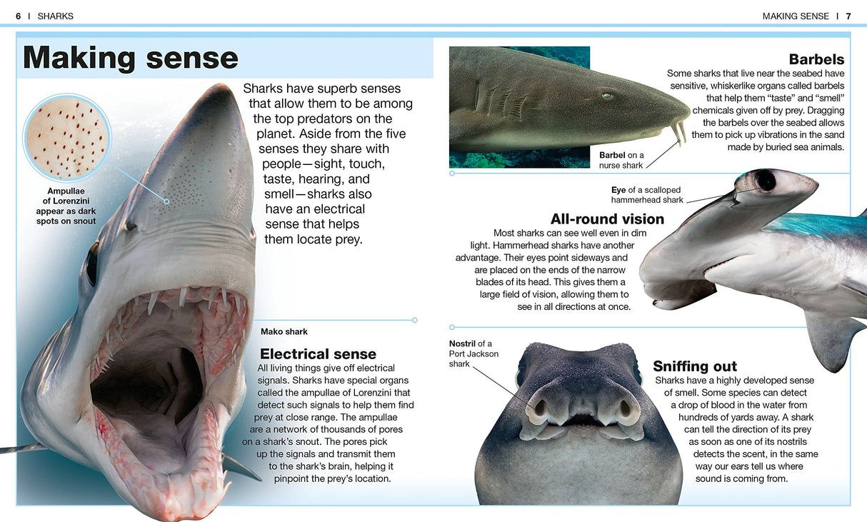 Pocket Genius Sharks showing shark senses with detailed images and facts about their hunting abilities.