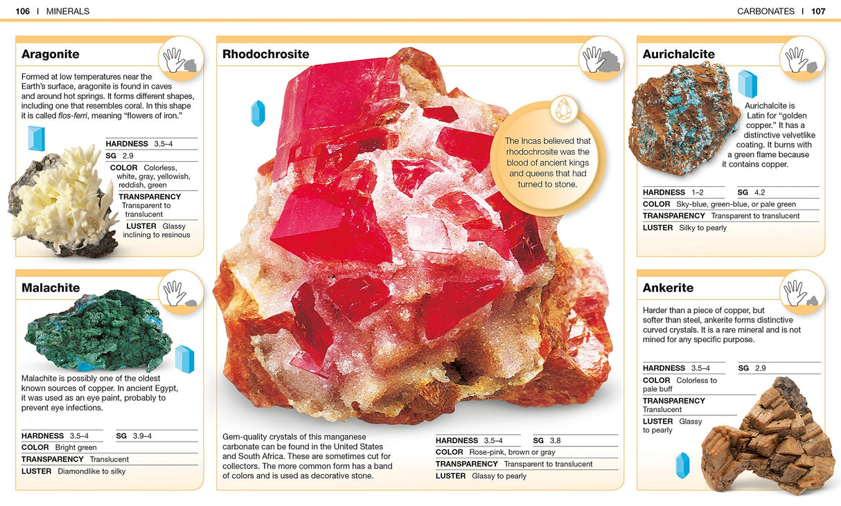 Pocket Genius Rocks & Minerals showing detailed mineral samples with descriptions and properties on an educational page.