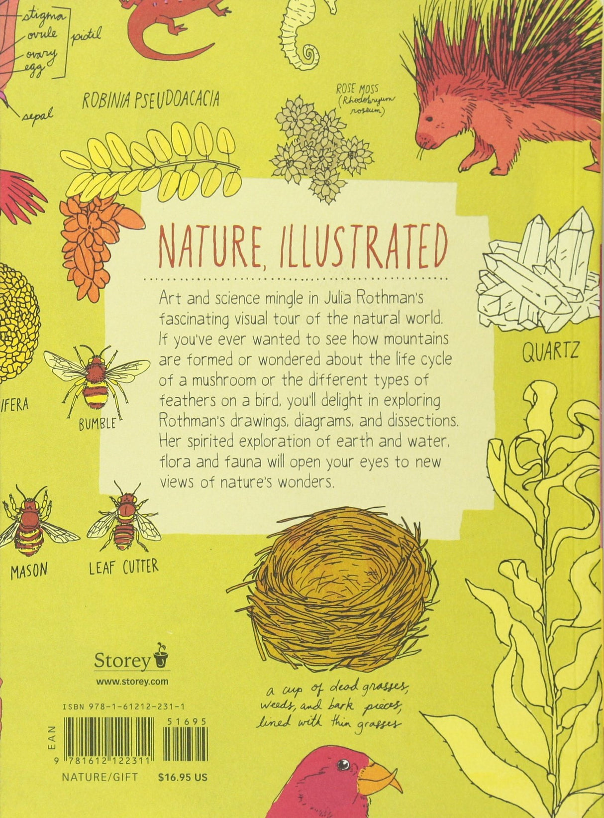 Back cover of Nature Anatomy book featuring whimsical illustrations and educational text about the natural world.