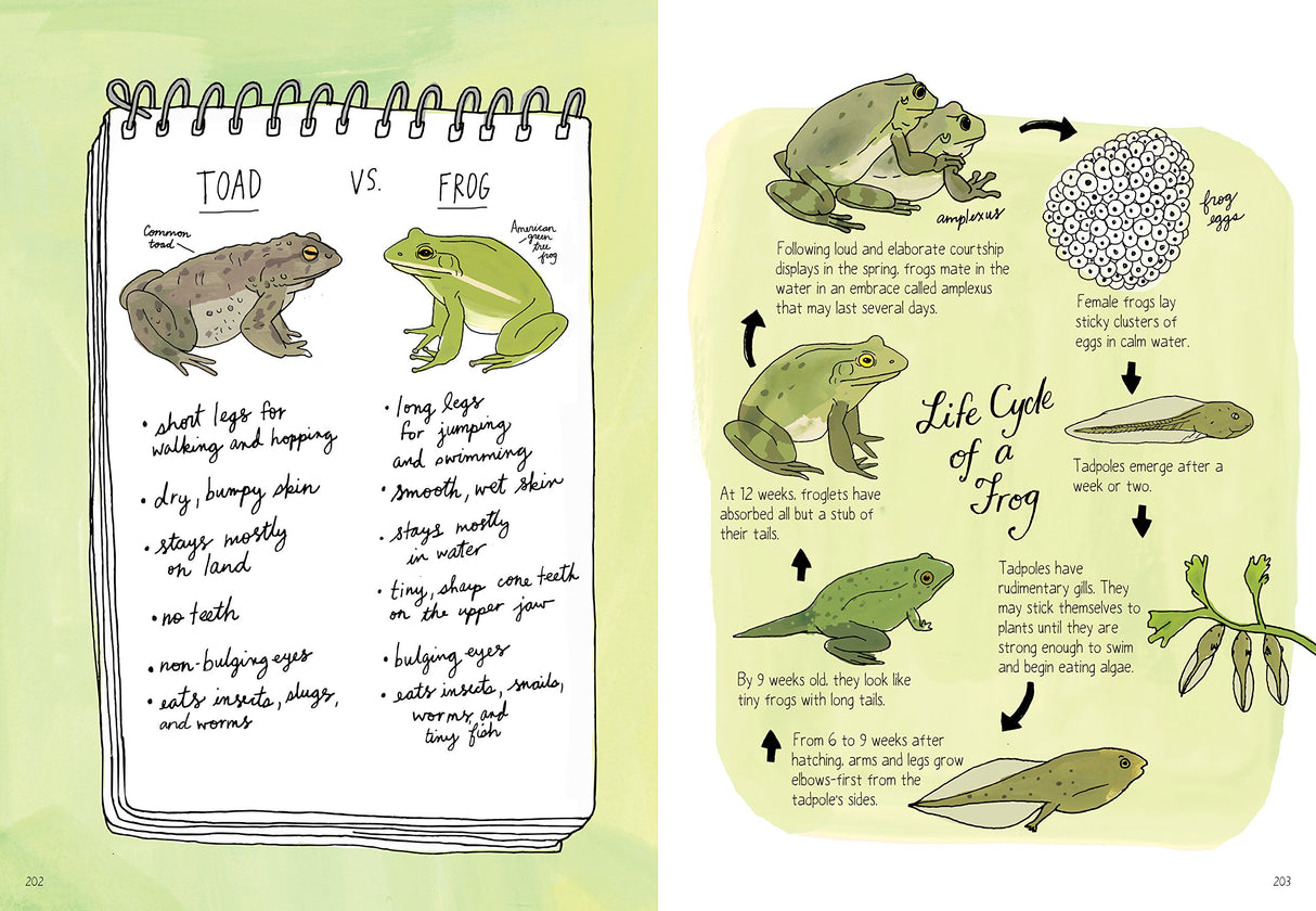 Nature Anatomy book illustration comparing toad and frog features and explaining the life cycle of a frog.